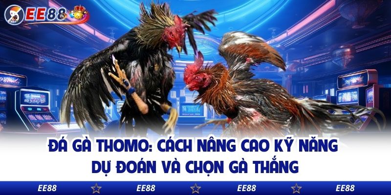 Đá Gà Thomo: Cách Nâng Cao Kỹ Năng Dự Đoán Và Chọn Gà Thắng