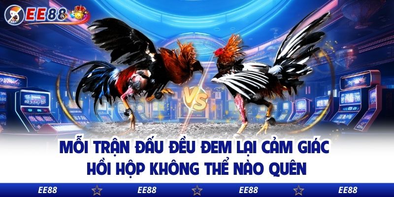 Mỗi trận đấu đều đem lại cảm giác hồi hộp không thể nào quên