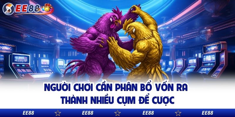 Người chơi cần phân bổ vốn ra thành nhiều cụm để cược