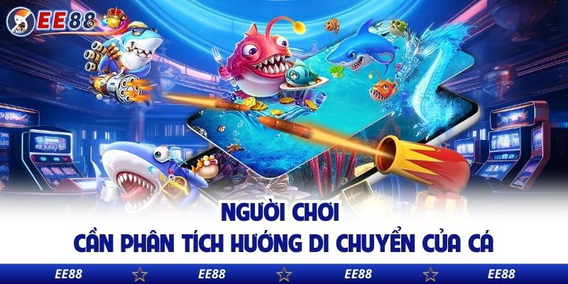 Người chơi cần phân tích hướng di chuyển của cá