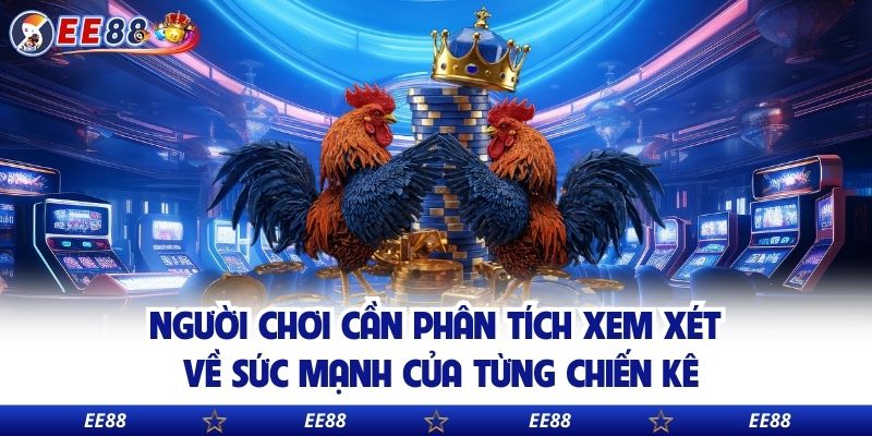 Người chơi cần phân tích xem xét về sức mạnh của từng chiến kê