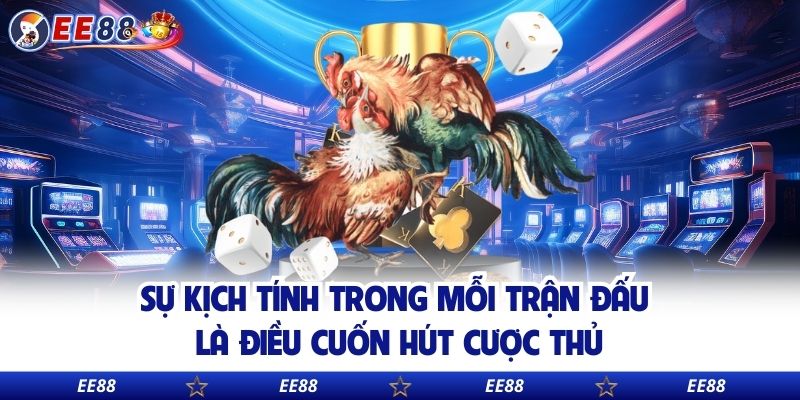 Sự kịch tính trong mỗi trận đấu là điều cuốn hút cược thủ